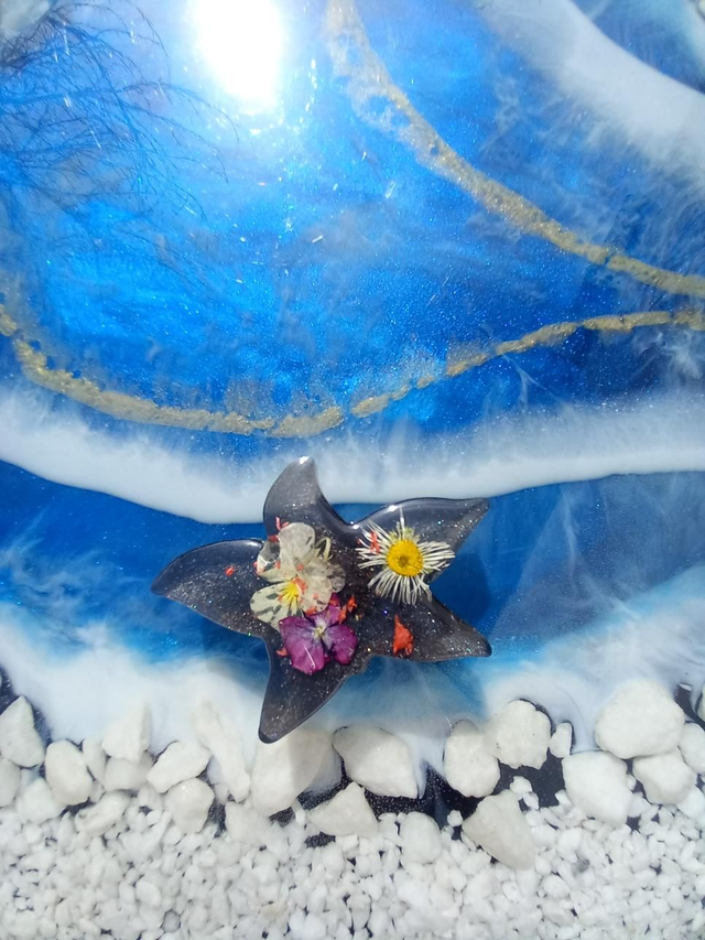 Magnet étoile de mer (1)