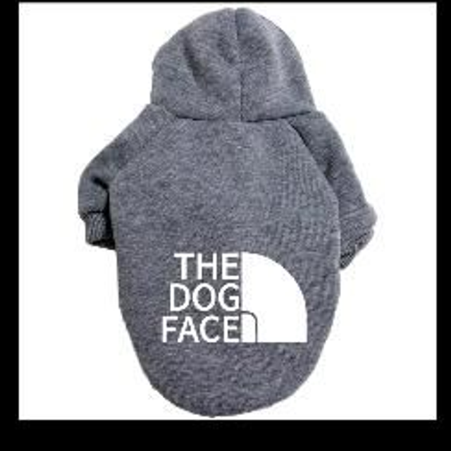 The Dog Face Grey big logo