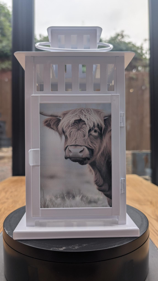Highland Cow Lantern (2)