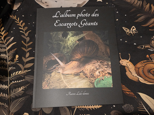 L'album photo des escargots géants 