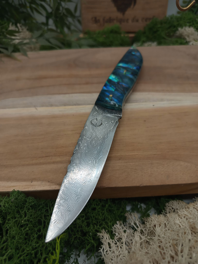 Couteau de table artisanal – haut de gamme – lame damas 67 couches VG10 – manche abalone
