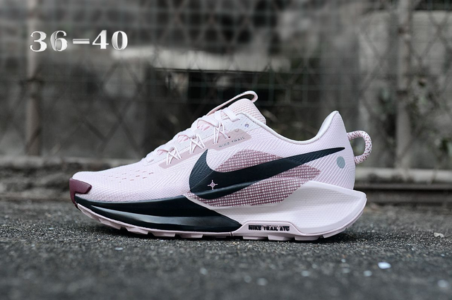 Nike Pegasus Trail 5 (Vendu sans la boîte )