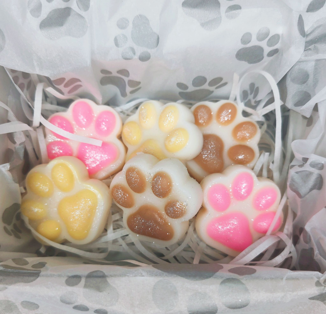 Boite de Fondants Patounettes