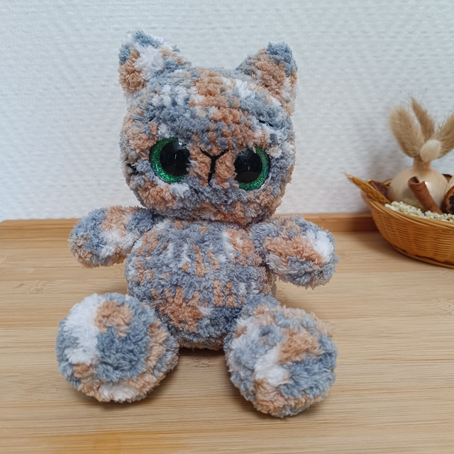 Chat Ecaille de Tortue 🐱✨