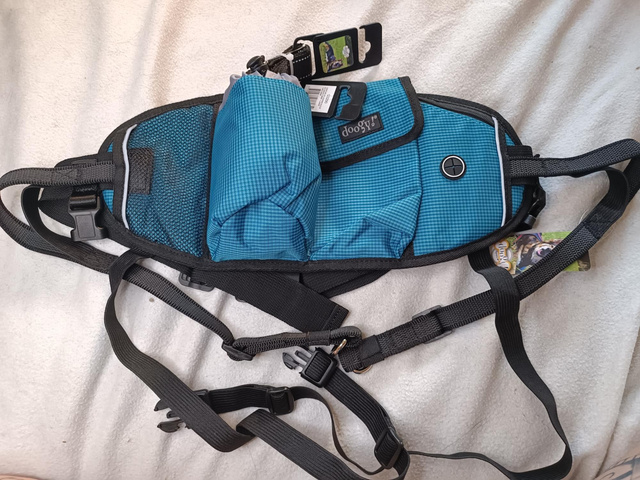 Ceinture Baudrier + laisse élastique 