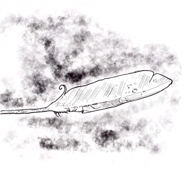 Coaching en écriture : débloquer sa créativité (en individuel et en Visio)