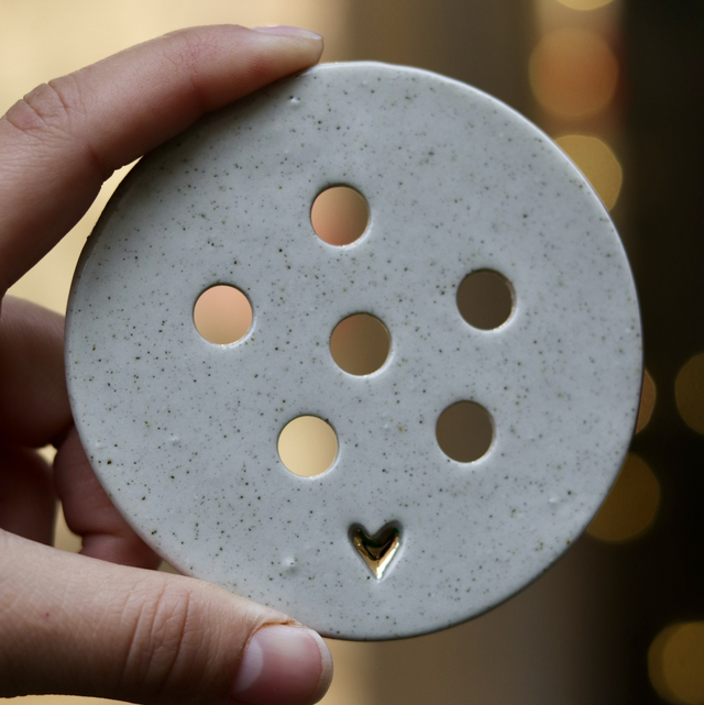 Disque de bouturage 🌱