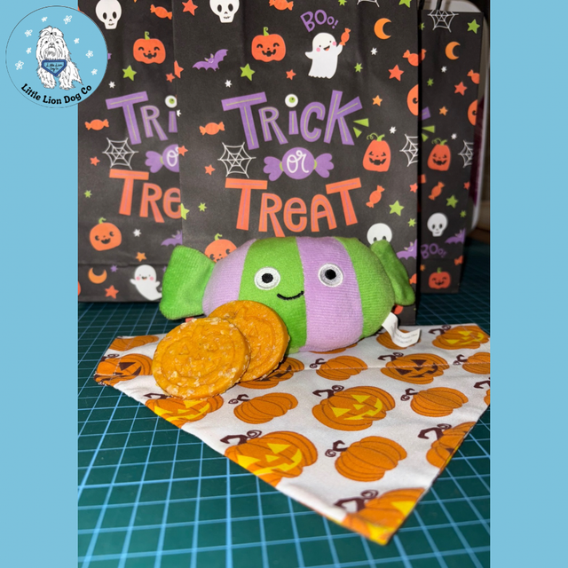 Halloween Trick or Treat Mystery Bag 