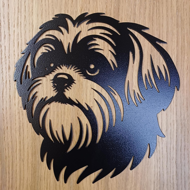 Steel Shih Tzu