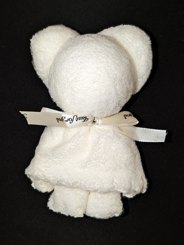 Teddy Bear Face Cloth