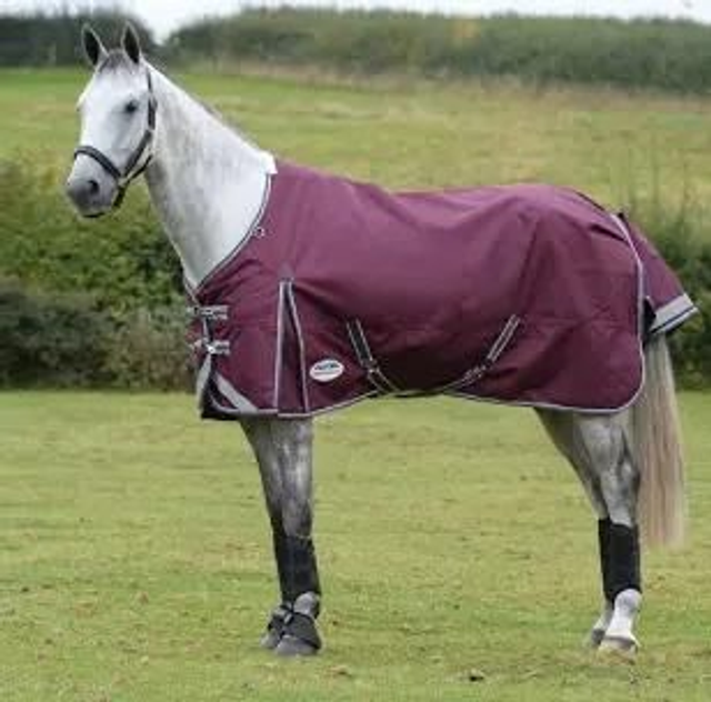 Weatherbeeta ComFiTec Plus Dynamic II Standard Neck Medium