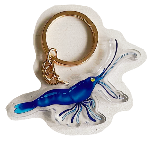 Keychain - Shrimp (blue)