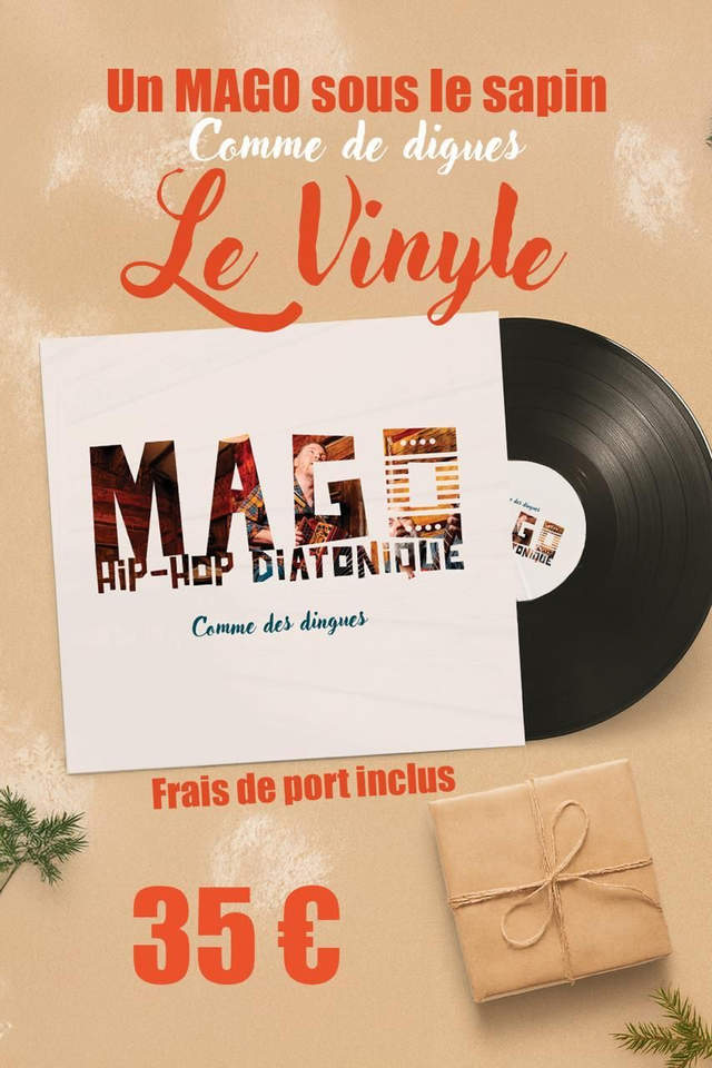 VINYLE - Comme des dingues 