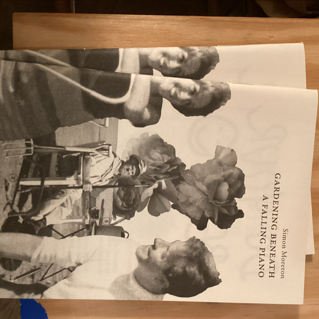 gardening beneath a falling piano simon moreton