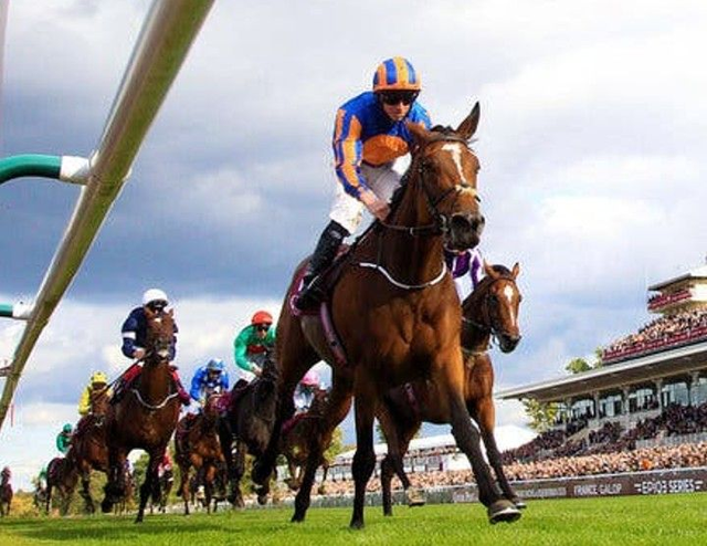 Race Night Horse Ownership - Win Prizes!