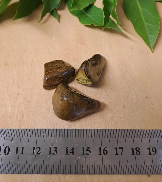 LIONSKIN JASPER TUMBLESTONE