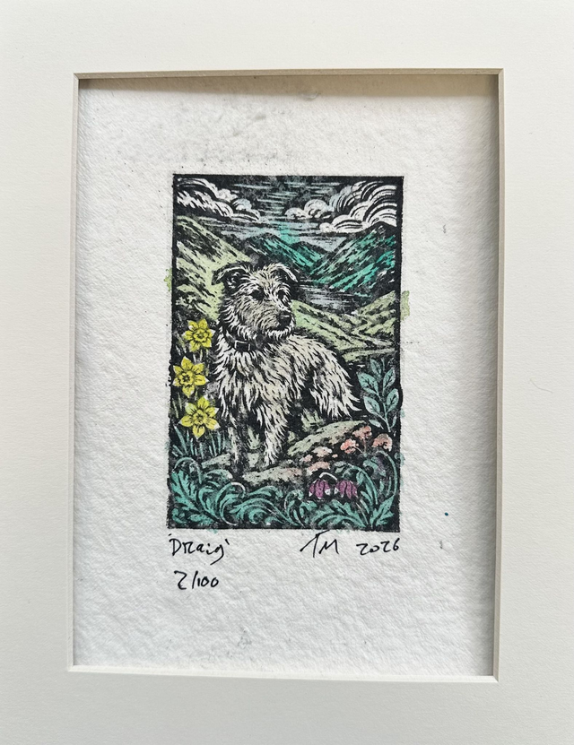 Draig at Cwmtillery - Limited Mounted Prints