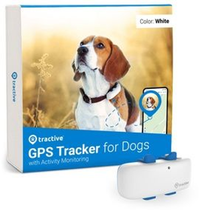 Tractive GPS DOG 4 - white