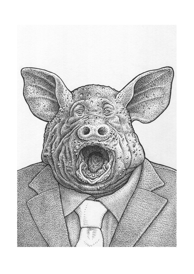 The pig