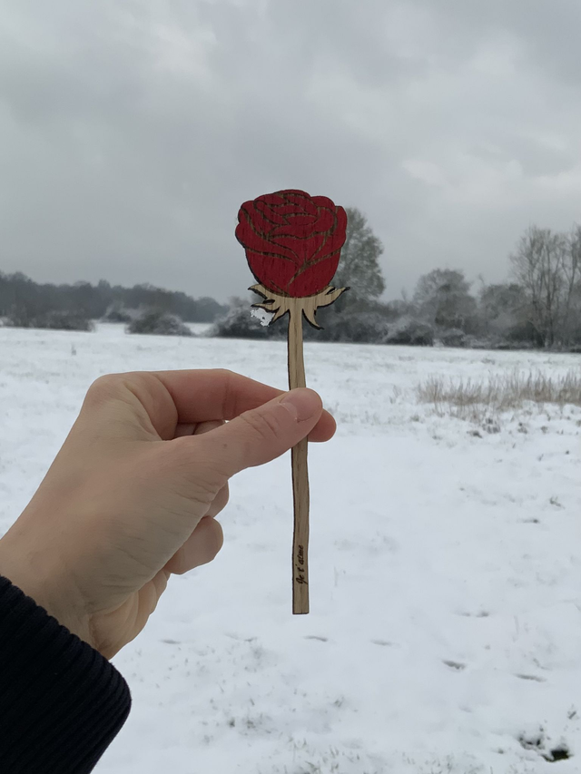 Rose d’hiver en bois