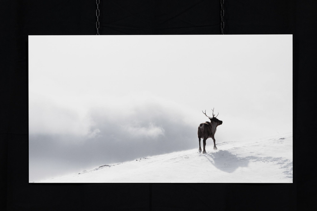 Photo &quot;La récompense&quot; en grand format et très haute qualité