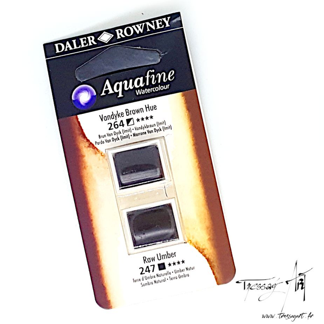 DALER ROWNEY - AQUARELLE DEMI-GODETS par 2 - MARRON 264 &amp; 247 - CA002264