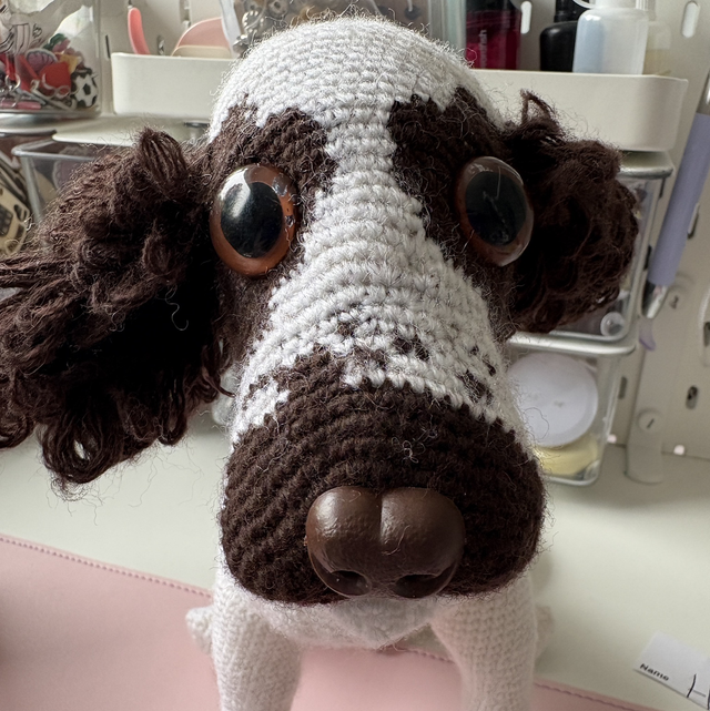 YOUR PET CUSTOM ODER