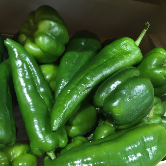 Poivron Vert Bio - 6,50€/kg