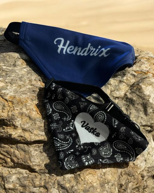 collier avec bandana