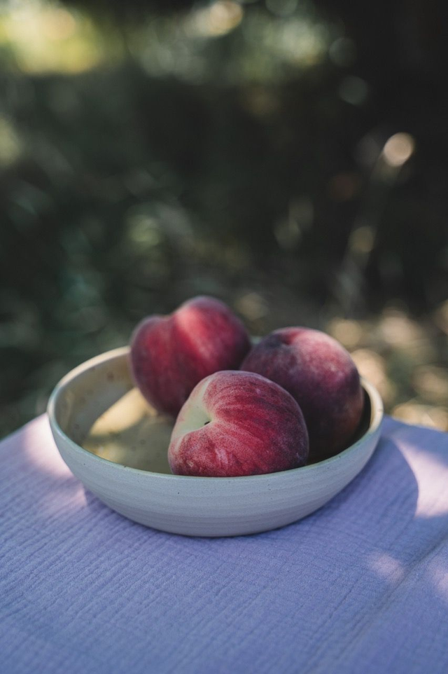 Petite assiette jaune moutarde 💛