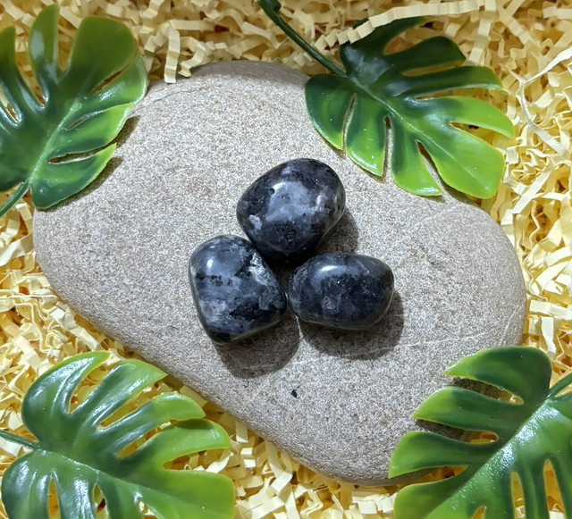 PIERRE ROULÉE DE LARVIKITE 3-4cm