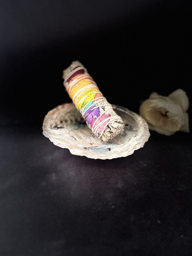 Sauge blanche 7 chakras » (Salvia apiana)