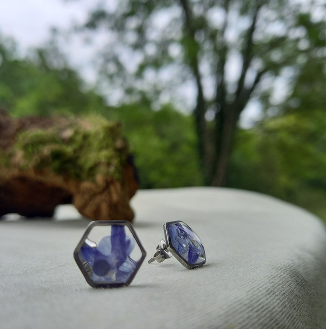 Puces d'oreilles ∙ argenté ∙ hexagonales ⬡ Lobelia