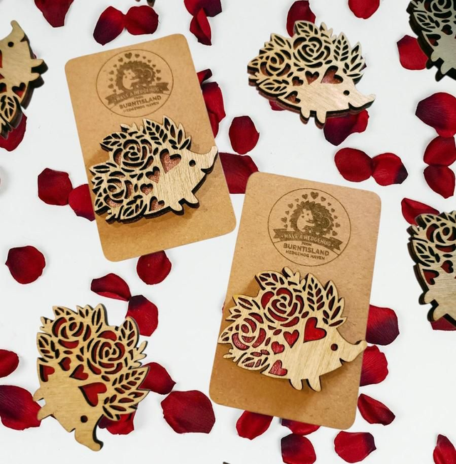 BHH Hedgehug badge (one only)