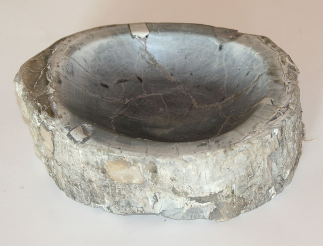 Versteinerte Holzschale