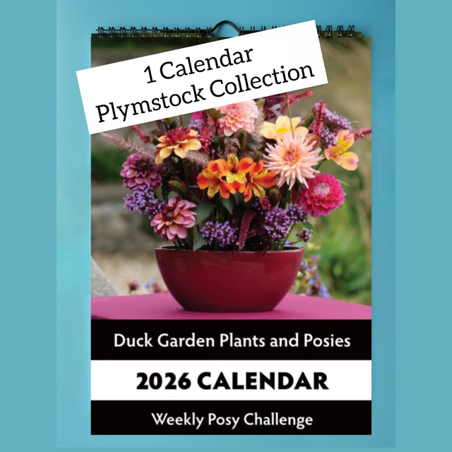 1 Calendar - Plymstock Collection