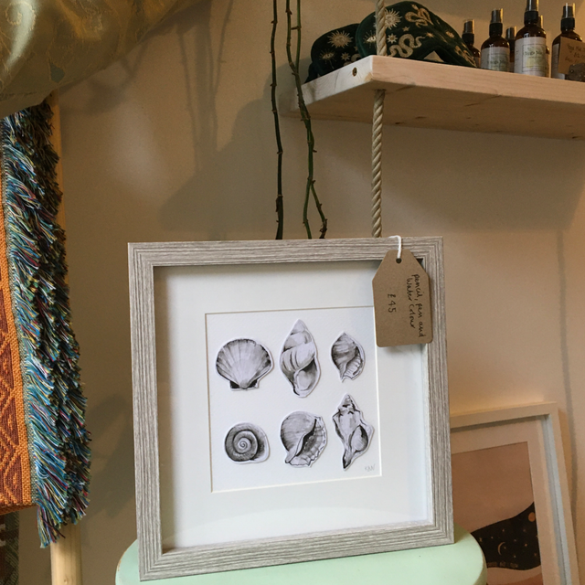 Shell art (drawn in pencil, pen and watercolour)