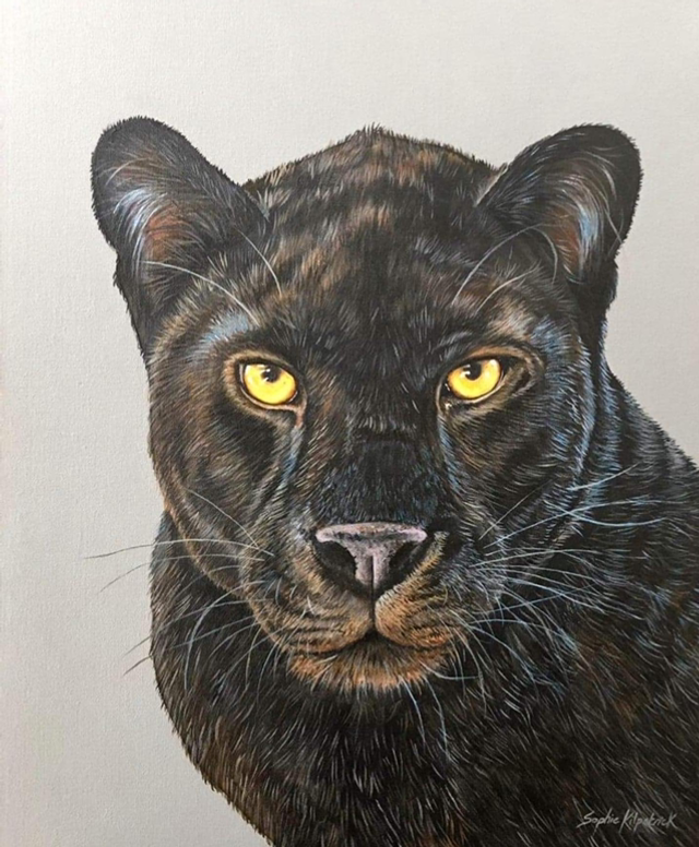 ‘The Stare’ Original Painting