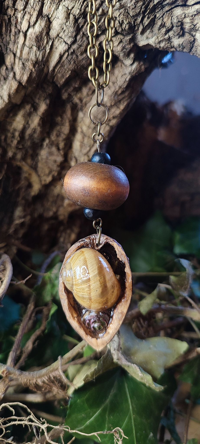 Escargot de Printemps