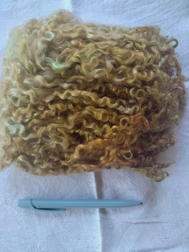 Boucles0190 Teeswater 76g