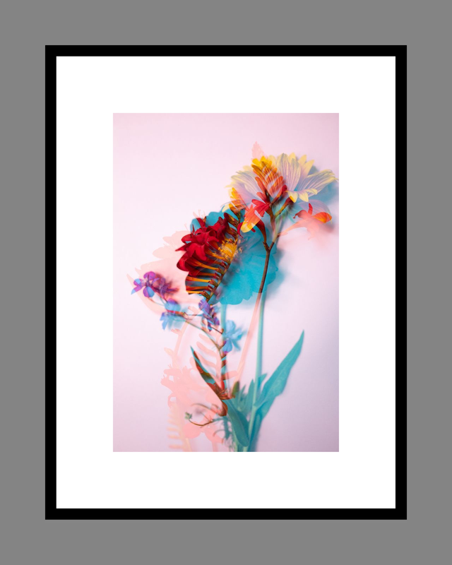 Collection du printemps * 20