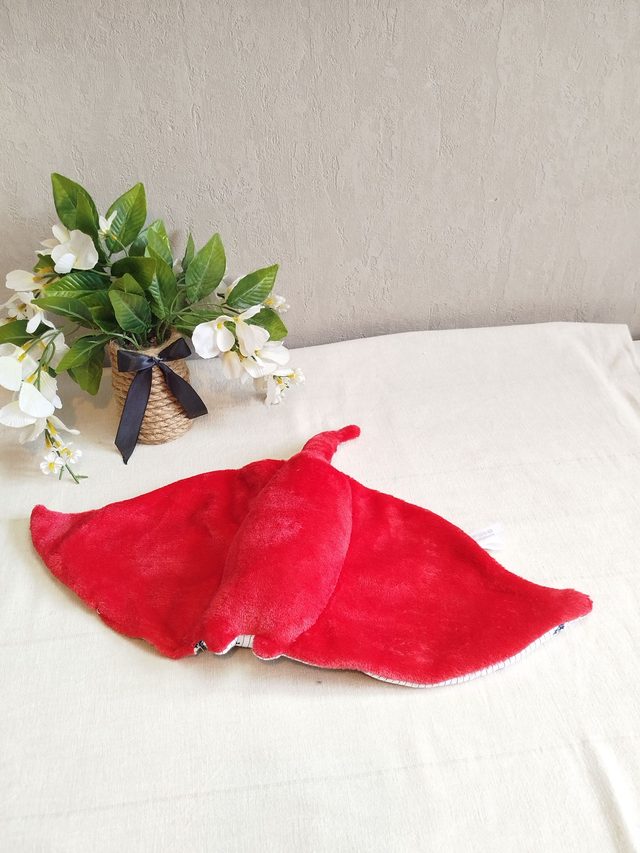 Raie Manta rouge