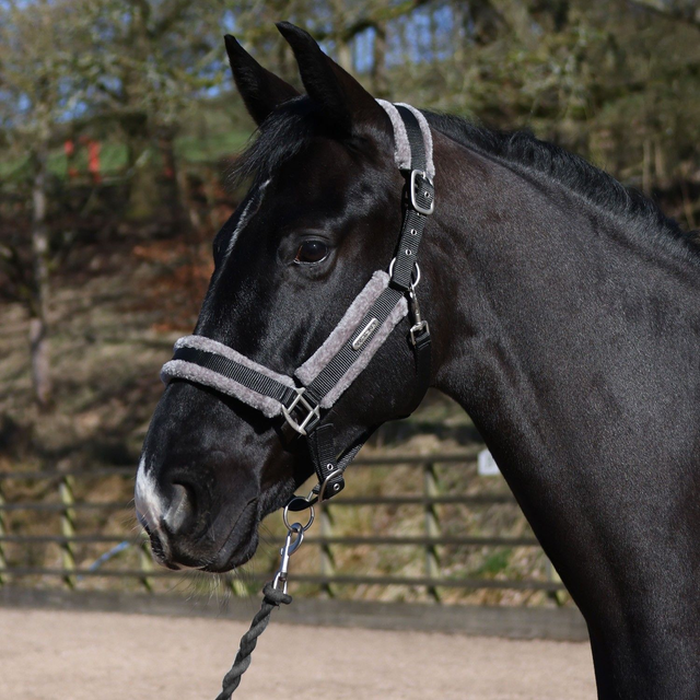 Whitaker Holmfirth Faux Fur Head Collar & Leadrope - BLACK