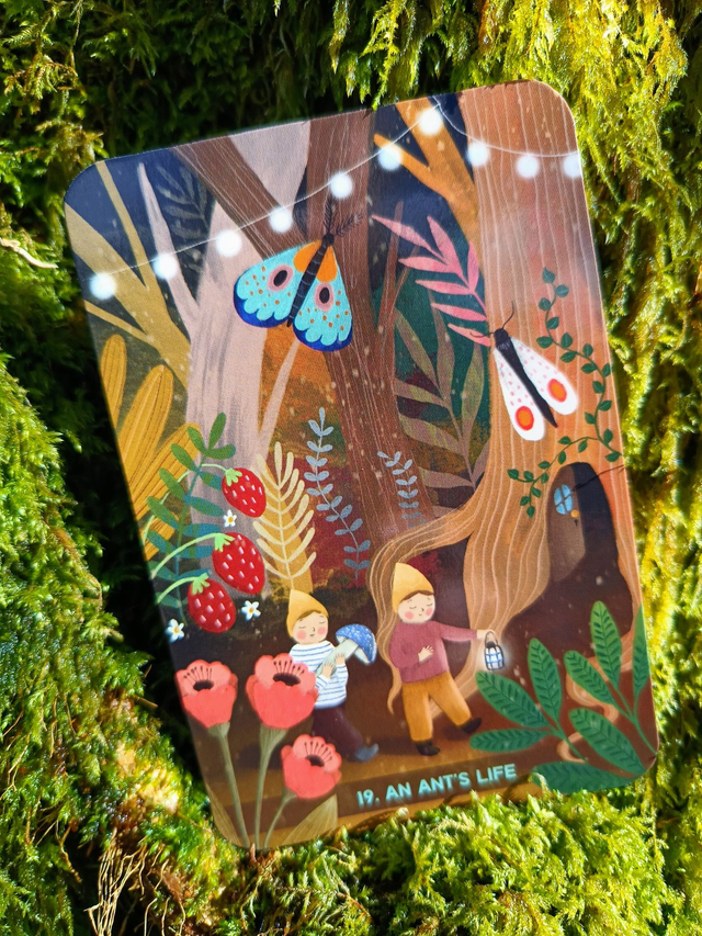 Forest Meditations: a deck that supports the Japanese practice of shinrin yoku (forest bathing) * by Moc Lasu