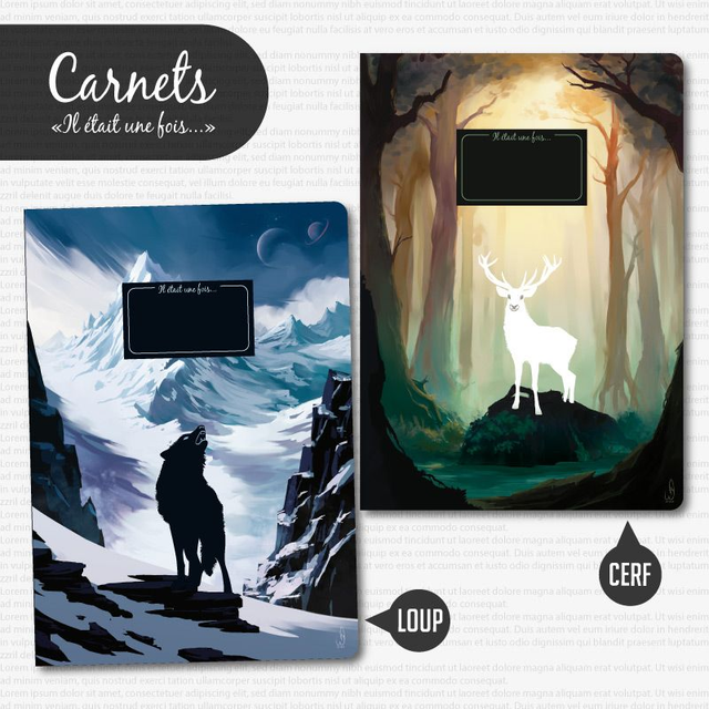 Carnets "Il était une fois..."
