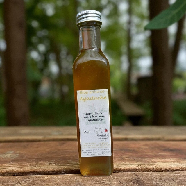 sirop d'agastache