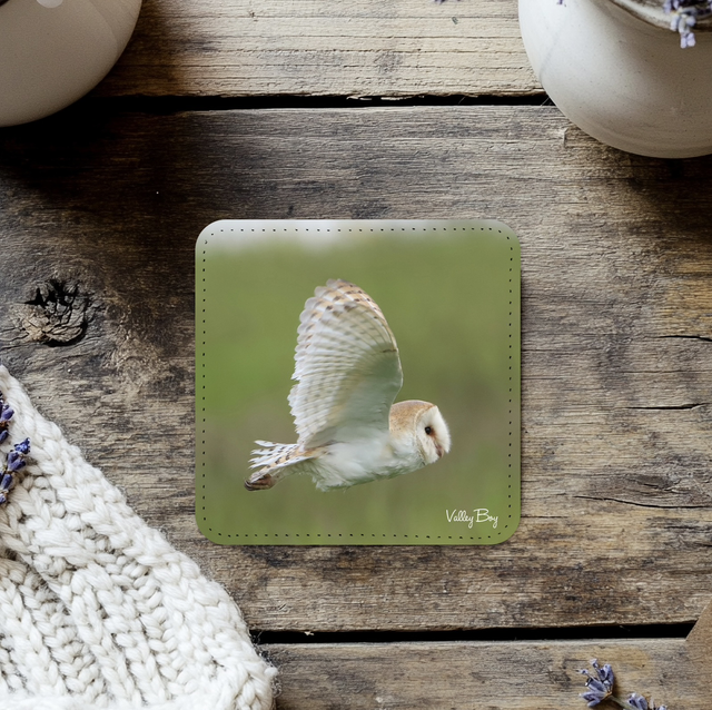 “Barn Owl” Coaster