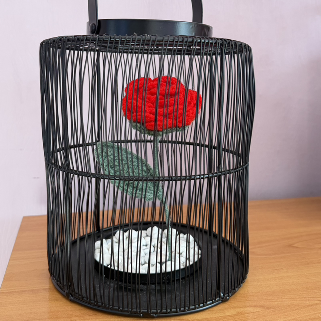 Rose en crochet en cage 