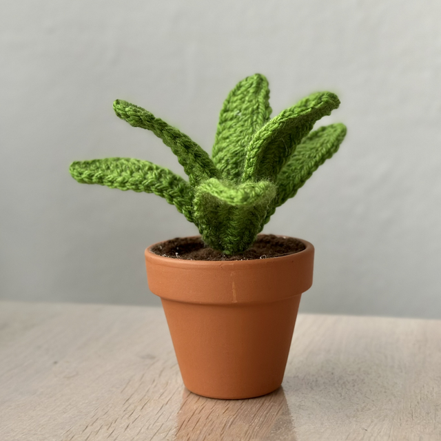 Plante verte