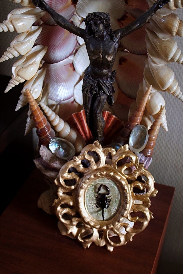 Heterometrus cyaneus &quot;baby&quot;